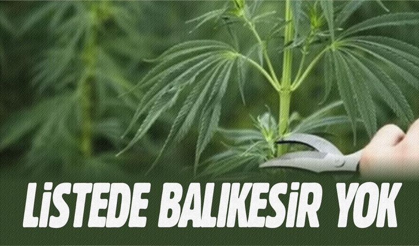 Tarımın Başkentiyiz, ama Balıkesir kapsam dışı kaldı!