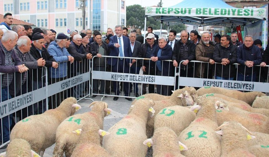 Kepsut Belediyesi’nden hayvancılığa güçlü katkı