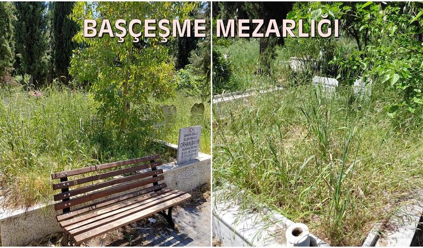 Sanki birileri Ahmet Akın'ı sabote ediyor!