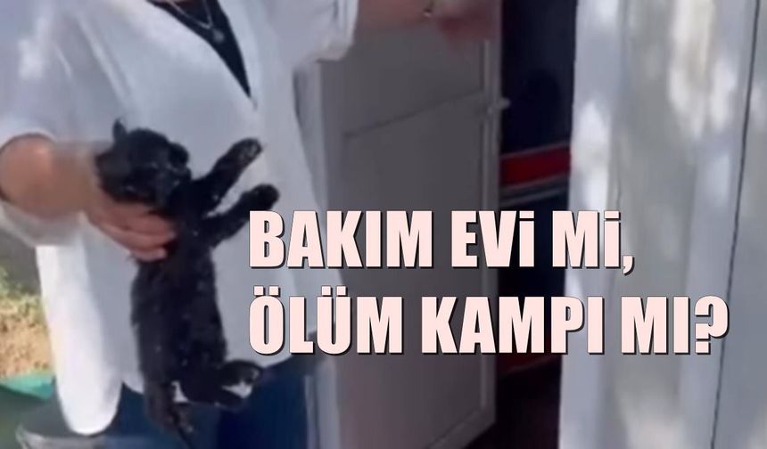 Altıeylül'de skandal görüntüler ortaya çıktı!