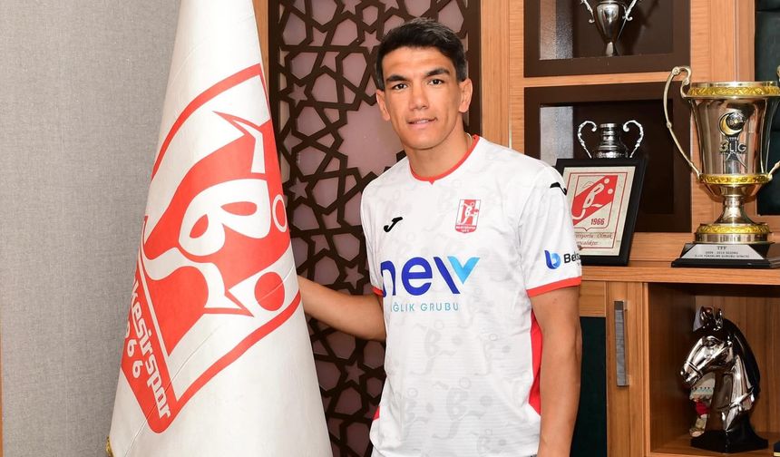 Tecrübeli forvet Akın Akman Balıkesirspor'da