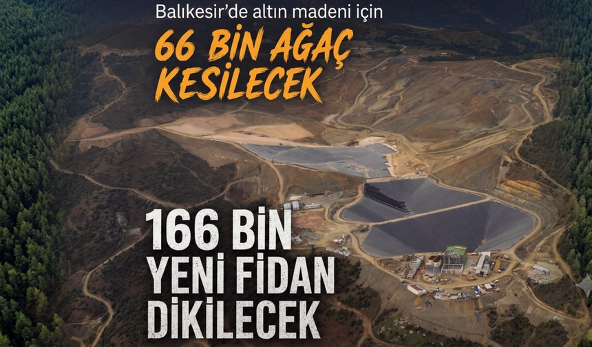 66 bin 410 ağaç kesilecek, yerine 166 bin yeni fidan dikilecek