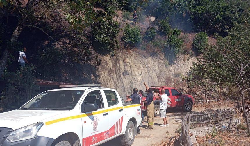 Balıkesir İtfaiyesi ile Orman ekipleri el ele söndürdü