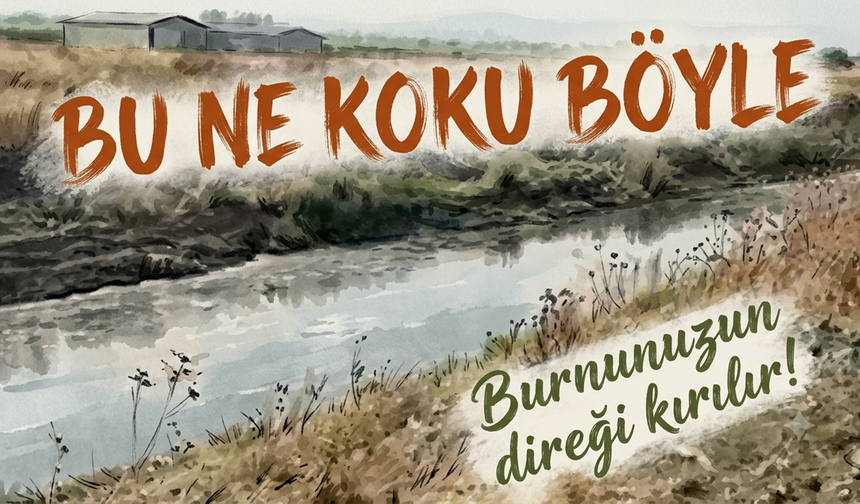 Altıeylül Ova Köylerinde Dere Kirliliği İsyan Ettirdi!