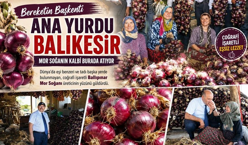 TÜRKİYE'DE TEK ERDEK'TE YETİŞİYOR