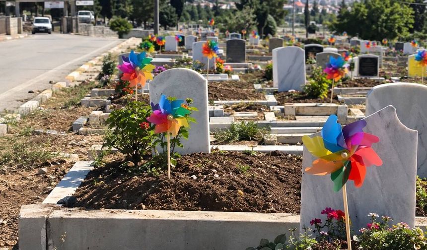 ÇINARLIDERE ve DÖNÜP DURAN RÜZGÂR GÜLLERİ