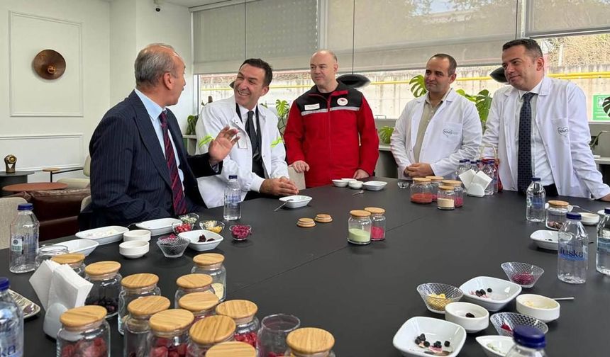 Balıkesir Çileği Teknolojiyle Değerleniyor